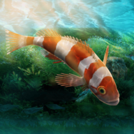 水族设计师手游下载