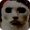 猫猫惊魂下载正版