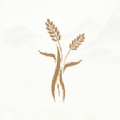 <b>米禾阅读APP</b>