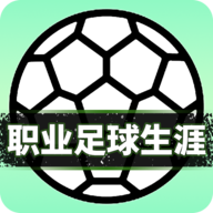 <b>职业足球生涯</b>