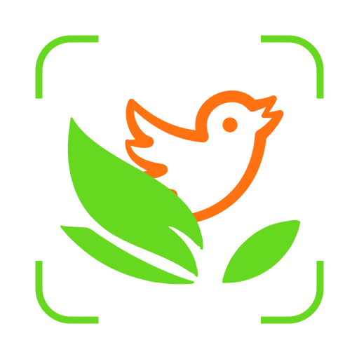 动植物识别app