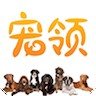 宠领app
